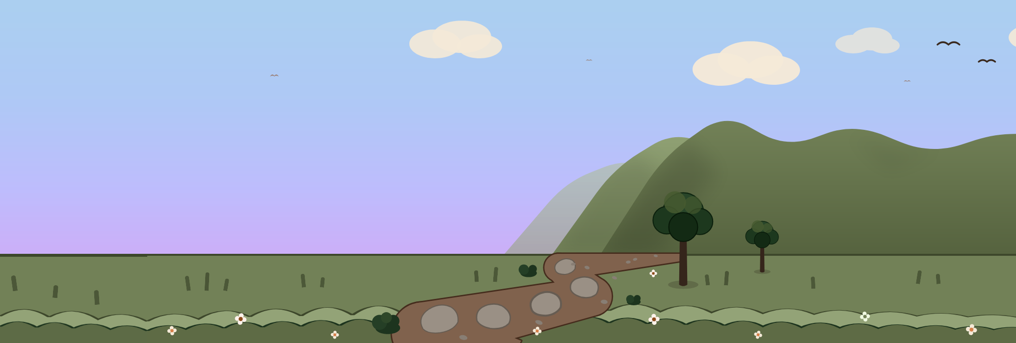 Your companion's world